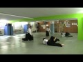 Aikido Tachi Waza K Feierabend u A Betschart