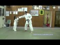 Kinderkarate Bunkai Pinan Nidan