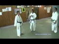 Shitoryu Shukokai Karate Karate Gurtspezifisches Training